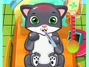 Cat Doctor