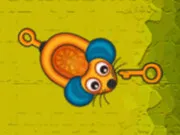 Key Rodent